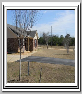 View our latest new homes for rent